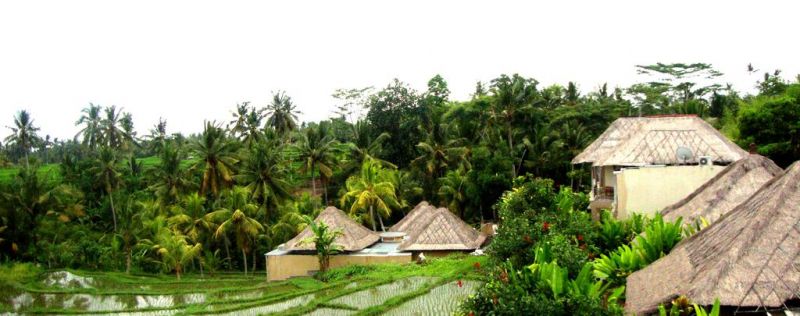 ATTA MESARI RESORT & VILLAS — фото 5