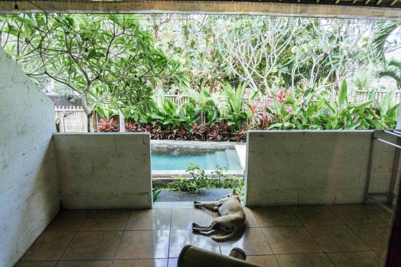 BALANGAN INN — фото 17