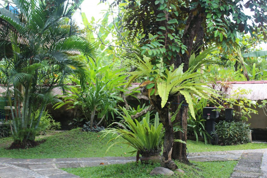 BALI AGUNG VILLAGE — фото 10