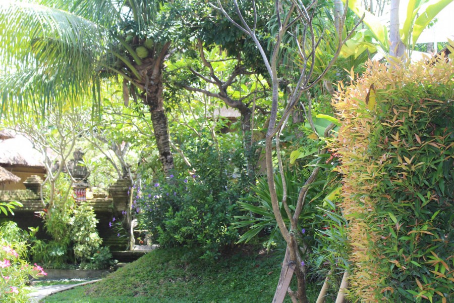 BALI AGUNG VILLAGE — фото 11