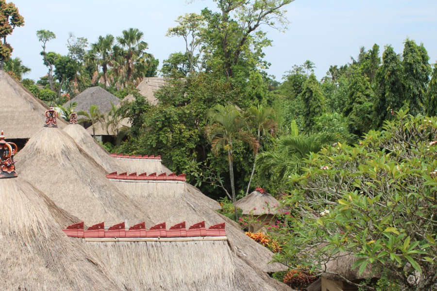 BALI AGUNG VILLAGE — фото 12
