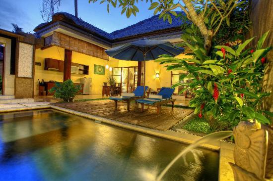 BALI RICH LUXURY VILLA & SPA UBUD — фото 3