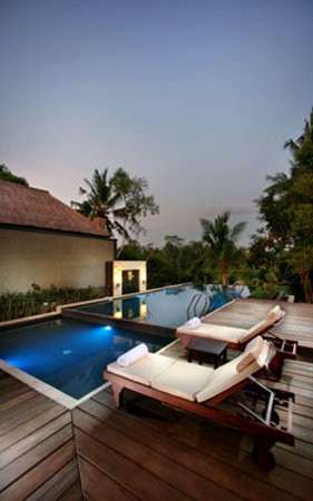 BALI RICH LUXURY VILLA & SPA UBUD — фото 4