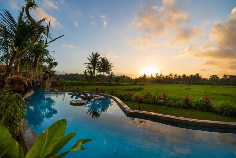 BEEHOUSE DIJIWA UBUD ADULTS ONLY 18+ — фото 3