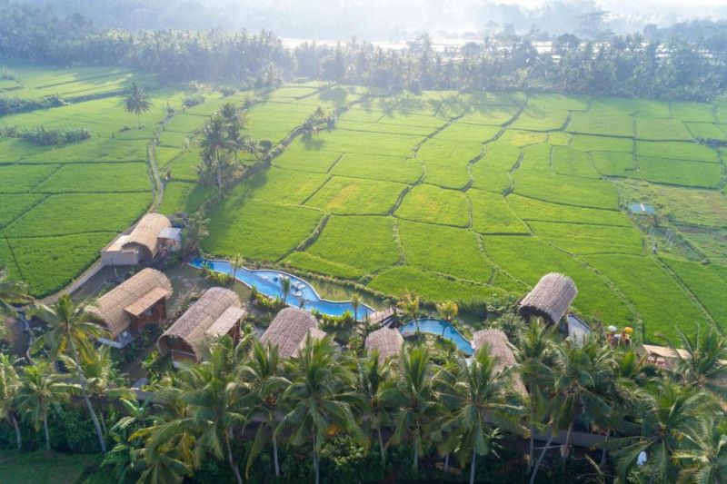 BEEHOUSE DIJIWA UBUD ADULTS ONLY 18+ — фото 8