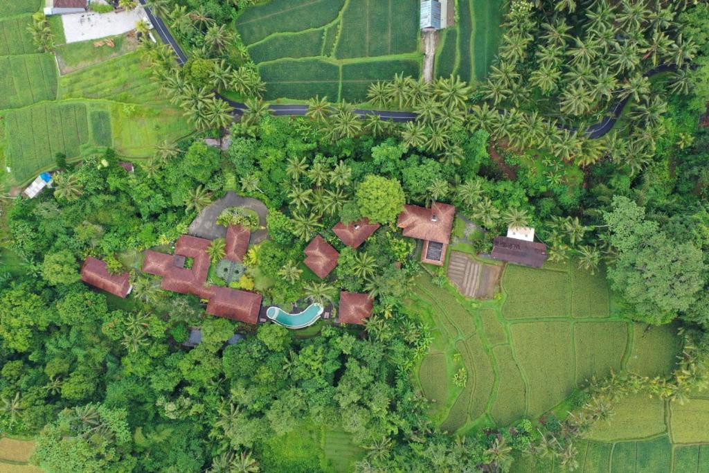 BEINGSATTVAA LUXURY UBUD — фото 2