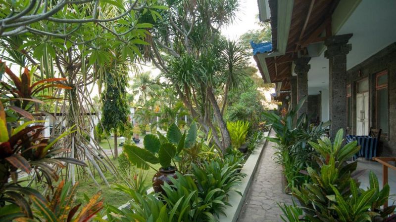 BEJI BAY RESORT — фото 17