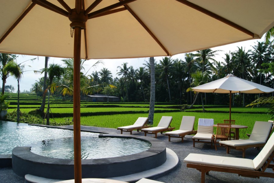 BHANUSWARI RESORT & SPA — фото 2