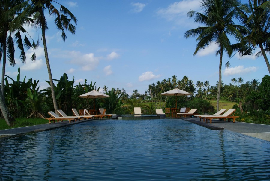 BHANUSWARI RESORT & SPA — фото 3