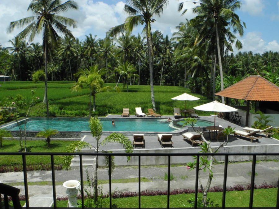 BHANUSWARI RESORT & SPA — фото 4