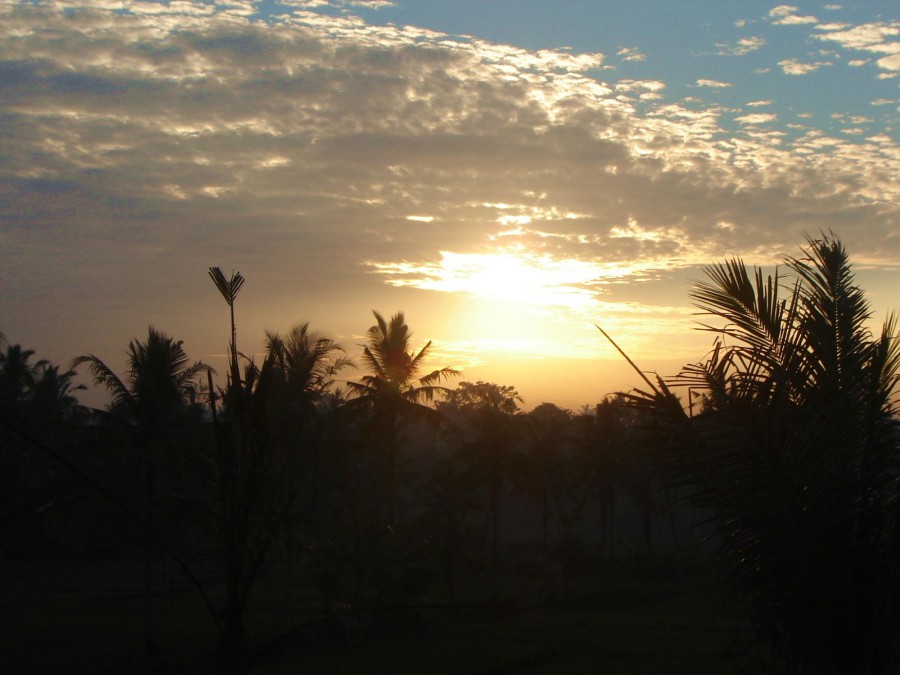 BHANUSWARI RESORT & SPA — фото 11