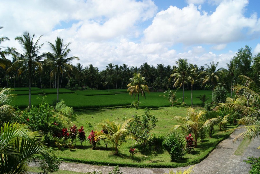 BHANUSWARI RESORT & SPA — фото 17