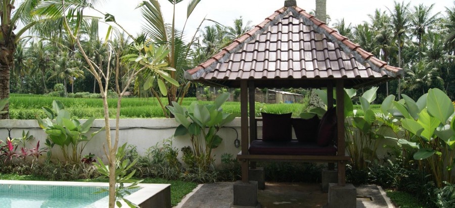 BHANUSWARI RESORT & SPA — фото 18