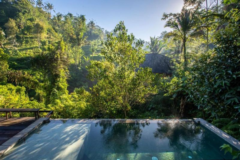 BUAHAN A BANYAN TREE ESCAPE ADULTS ONLY 18+ — фото 12