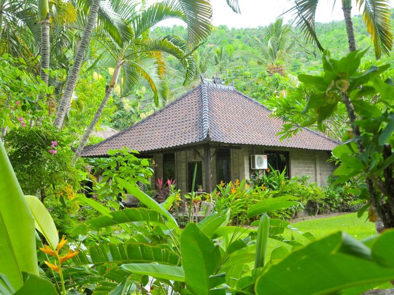 CORAL VIEW VILLAS — фото 13