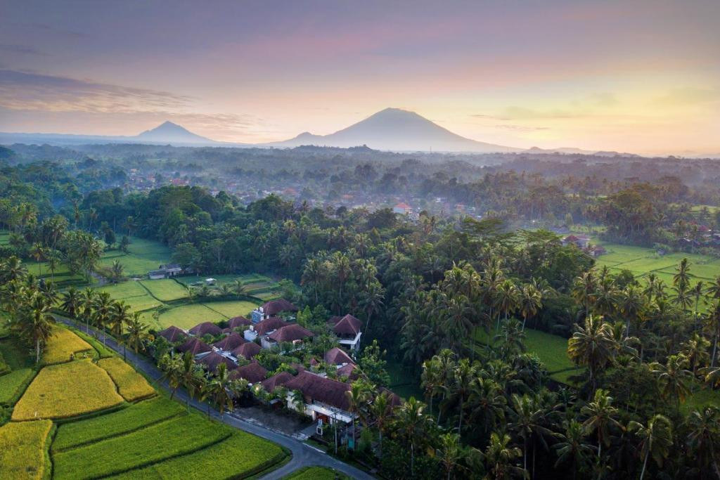 DEDARY RESORT UBUD BY INI VIE HOSPITALITY — фото 2