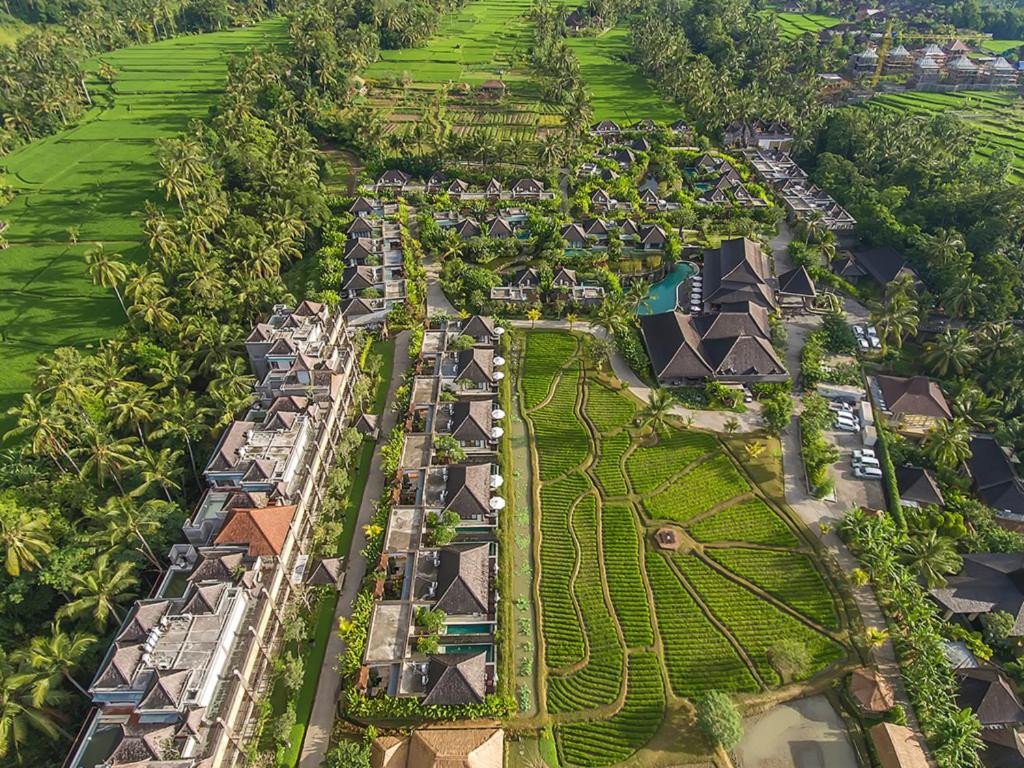 DESA VISESA UBUD — фото 2