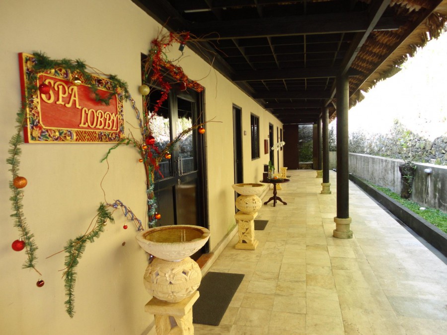 DREAMLAND LUXURY VILLAS & SPA — фото 9