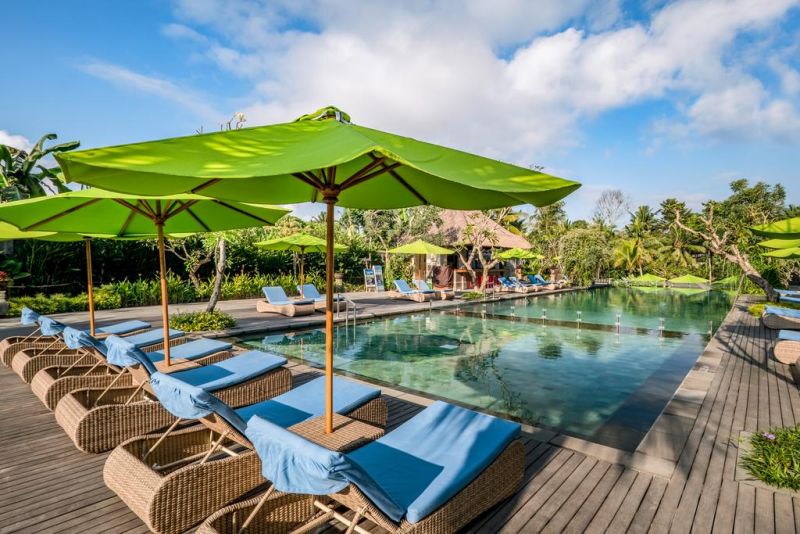 ELEMENT BY WESTIN BALI UBUD — фото 6