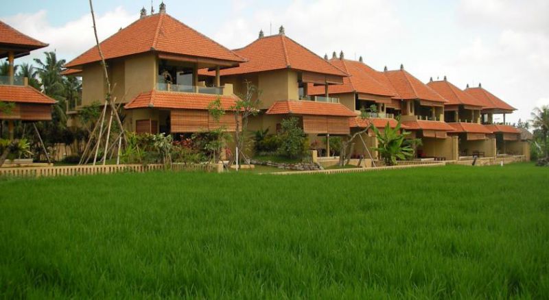 GREEN FIELD