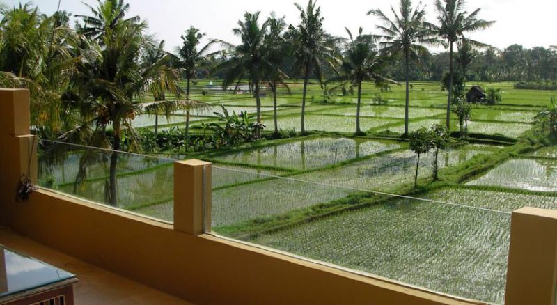 GREEN FIELD — фото 7