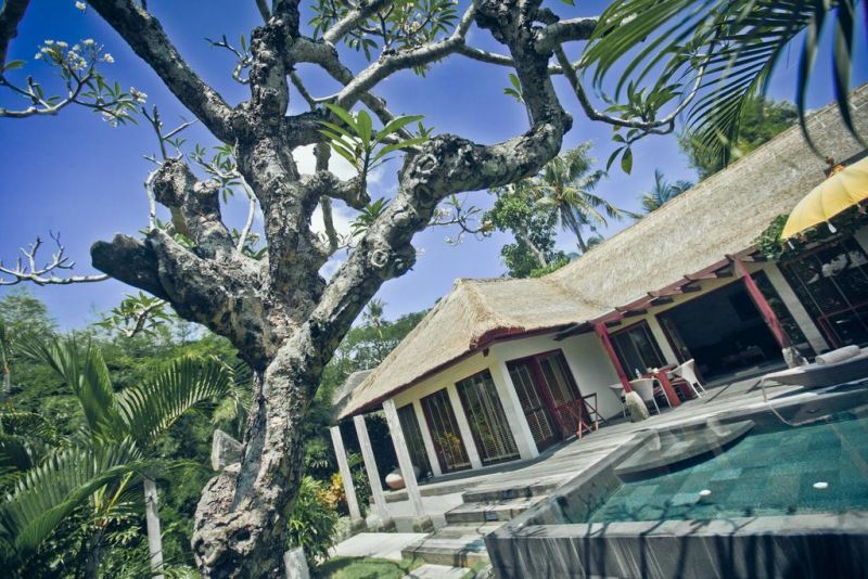JAMAHAL PRIVATE RESORT & SPA — фото 14