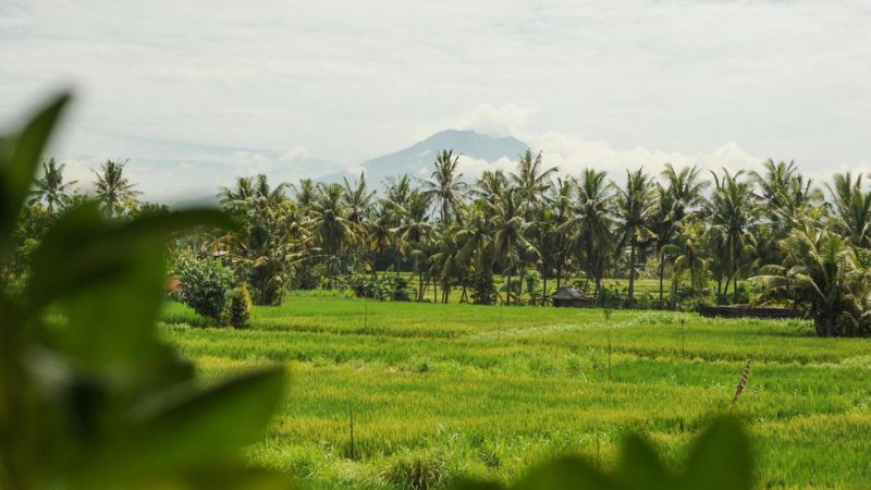 KOMANEKA AT KERAMAS BEACH — фото 16