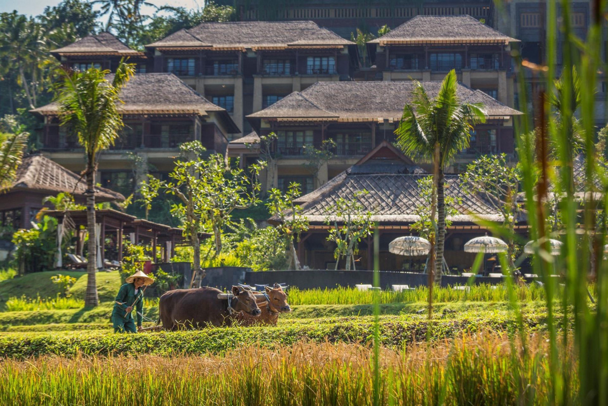 MANDAPA A RITZ-CARLTON RESERVE — фото 10