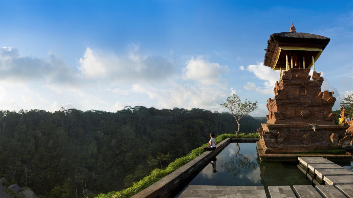 MANDAPA A RITZ-CARLTON RESERVE — фото 11