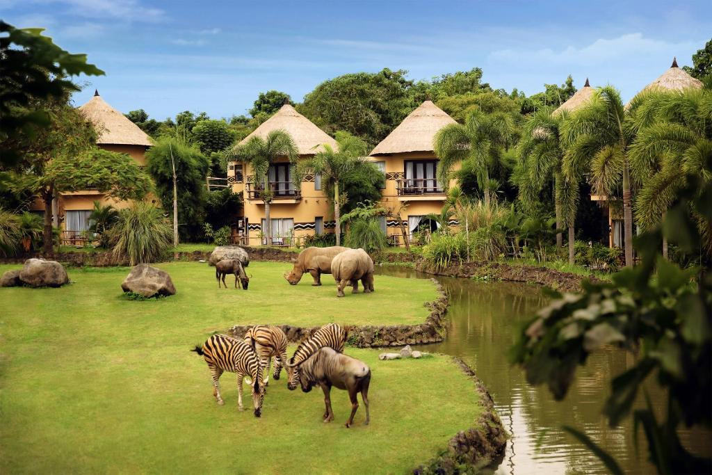 MARA RIVER SAFARI LODGE — фото 6