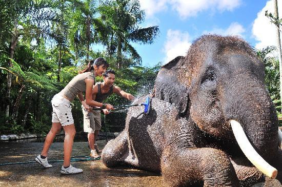 MASON ELEPHANT PARK AND LODGE — фото 12