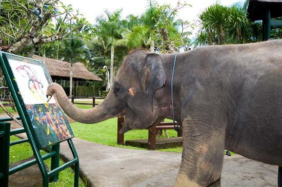 MASON ELEPHANT PARK AND LODGE — фото 13
