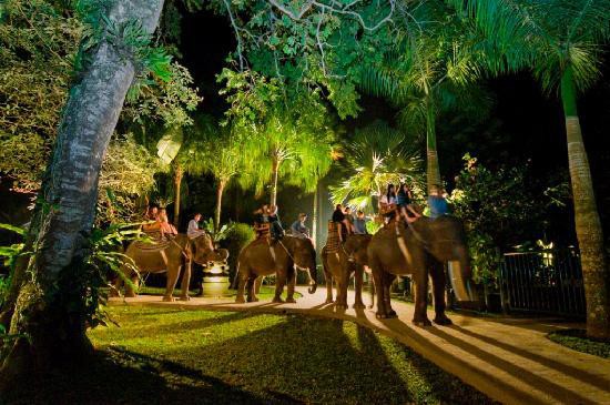 MASON ELEPHANT PARK AND LODGE — фото 14