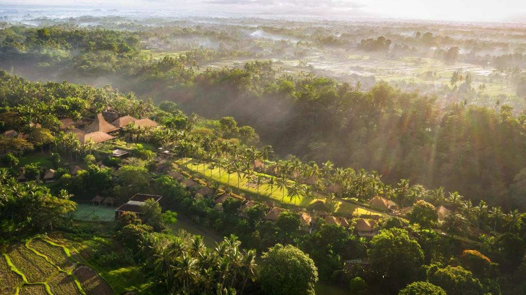MAYA UBUD RESORT & SPA — фото 2
