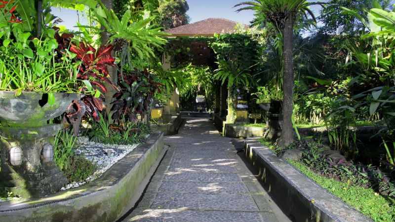 MENTARI SANUR — фото 14