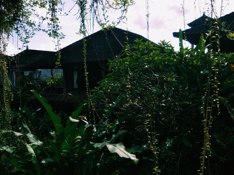 NANI HOUSE 2