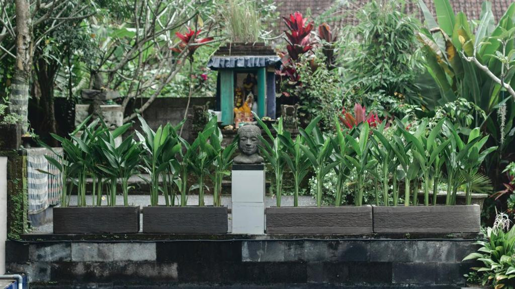 NAWA SAKTI RESORT — фото 13