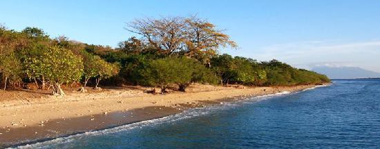 NUSABAY MENJANGAN BY WHM (EX. SHOREA BEACH RESORT) — фото 6