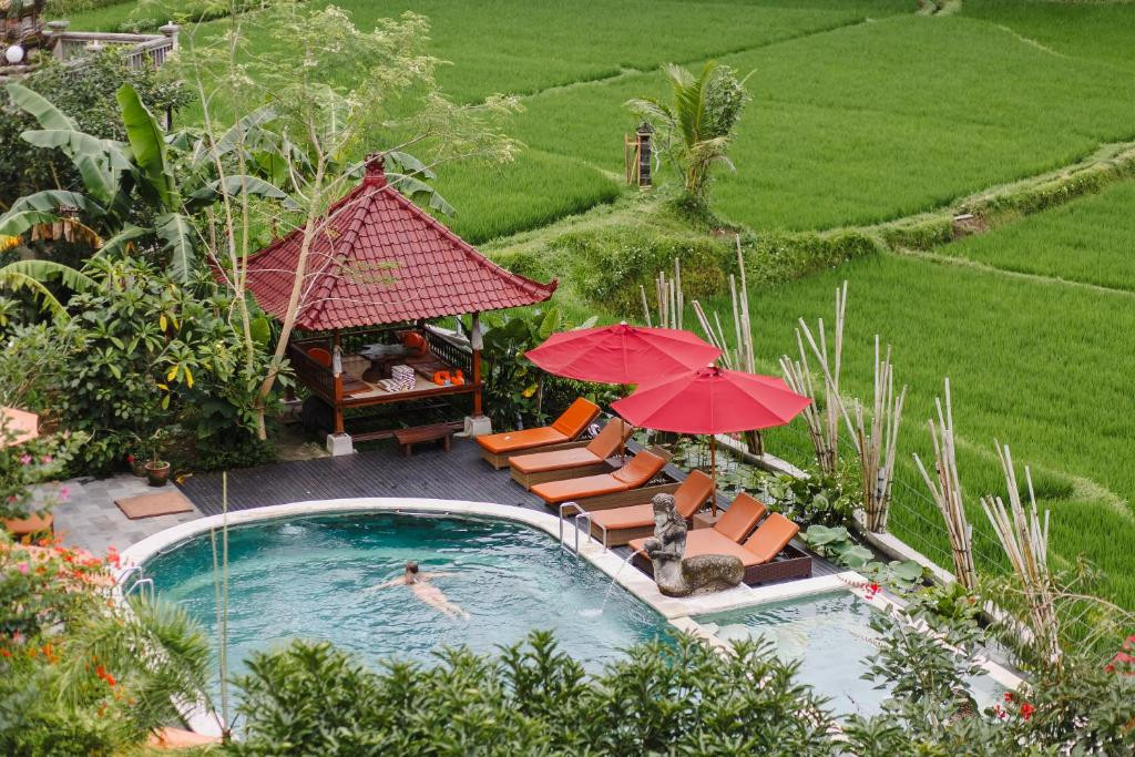 OM HAM RETREAT AND RESORT — фото 14