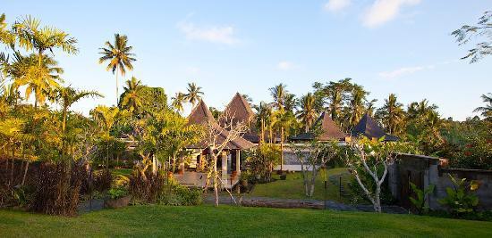 PANDAWAS VILLAS — фото 3