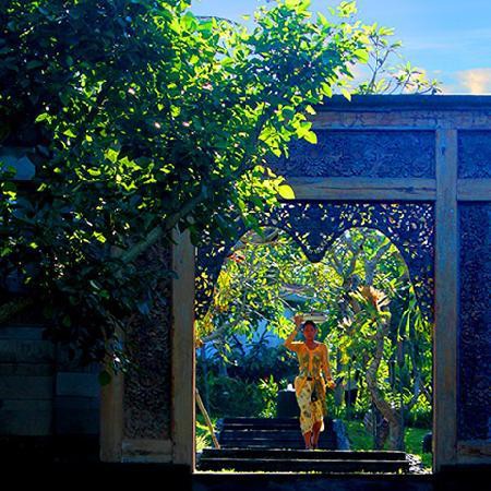 PANDAWAS VILLAS — фото 12