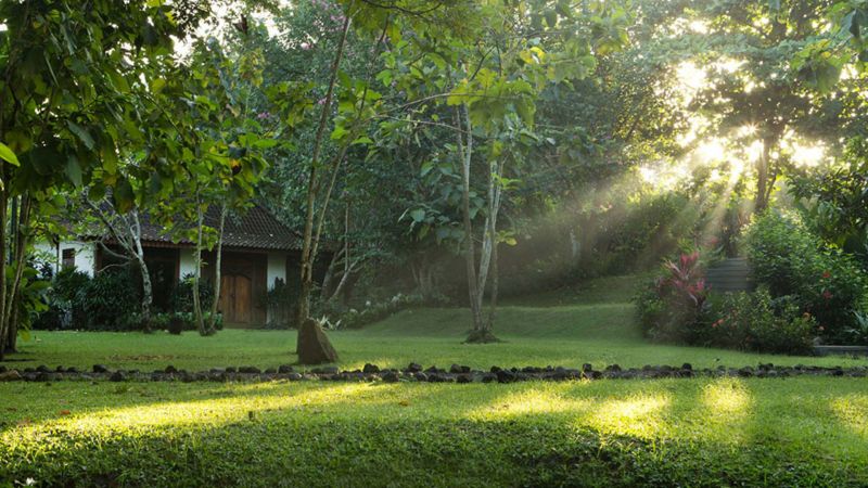 PLATARAN BALI RESORT & SPA — фото 5