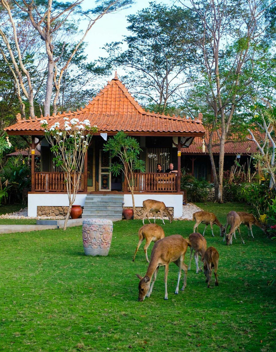 PLATARAN MENJANGAN RESORT & SPA — фото 2