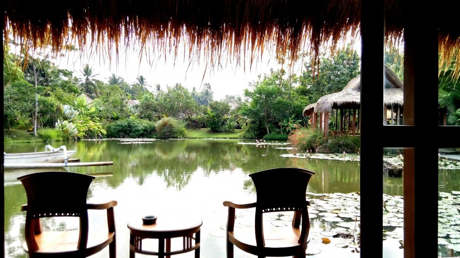 SAPU LIDI RESORT SPA & GALLERY — фото 4