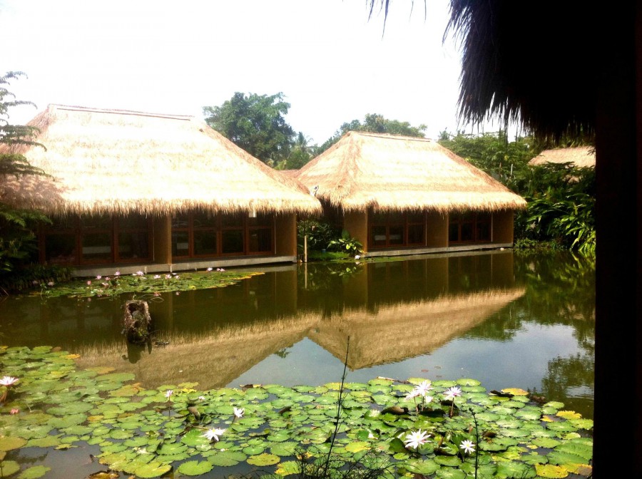SAPU LIDI RESORT SPA & GALLERY — фото 6