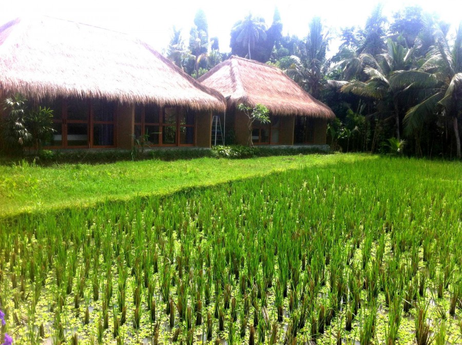 SAPU LIDI RESORT SPA & GALLERY — фото 7