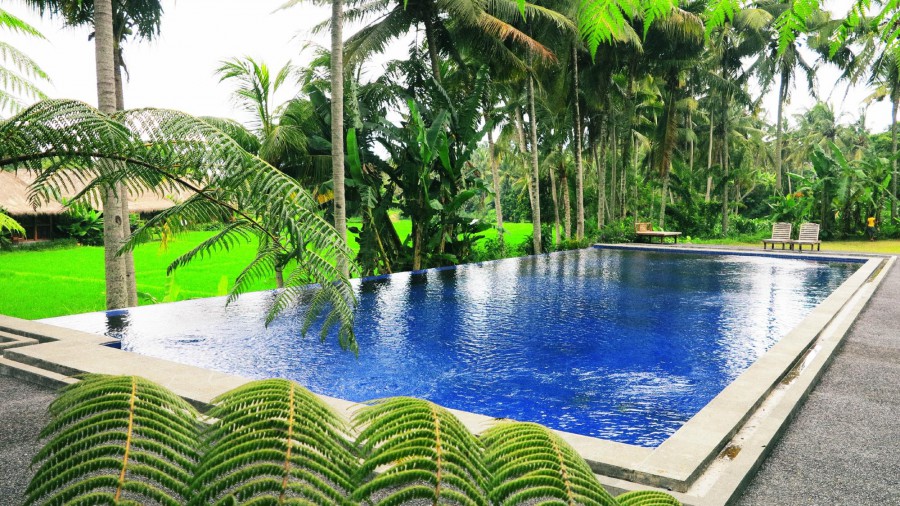 SAPU LIDI RESORT SPA & GALLERY — фото 8
