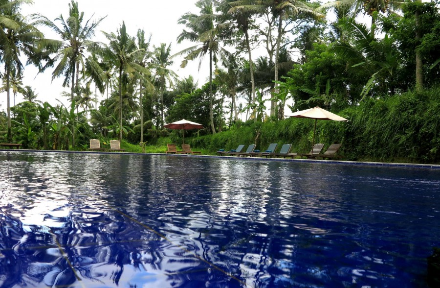 SAPU LIDI RESORT SPA & GALLERY — фото 9