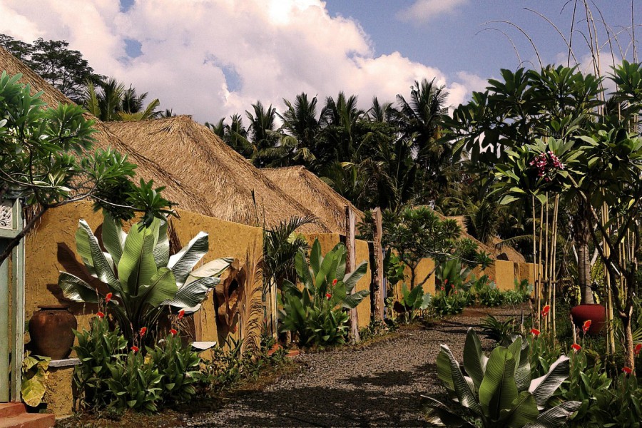 SAPU LIDI RESORT SPA & GALLERY — фото 17