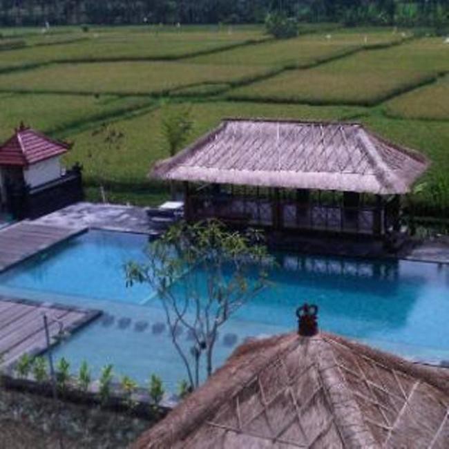 SULY RESORT & SPA — фото 3